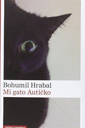 MI GATO AUTICKO