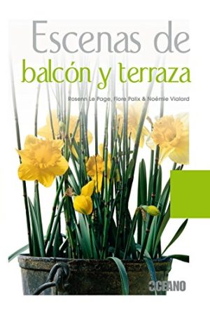 Escenas de balcón y terraza