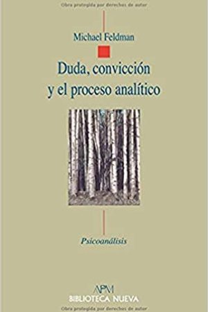 DUDA, CONVICCION Y EL PROCESO ANALITICO