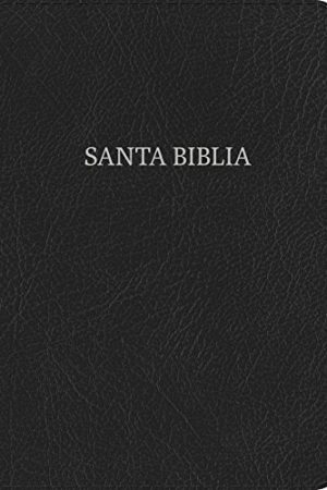 NVI BIBLIA LETRA GRANDE TAMAÑO MANUAL NEGRA