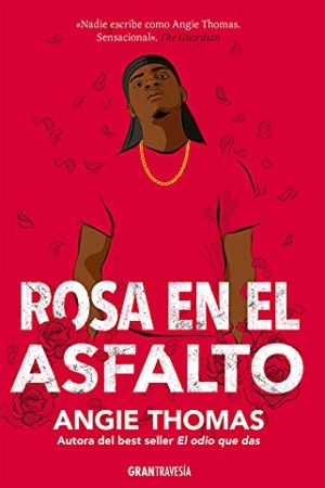 ROSA EN EL ASFALTO