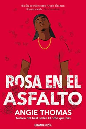 ROSA EN EL ASFALTO