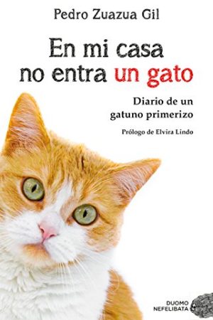 EN MI CASA NO ENTRA UN GATO
